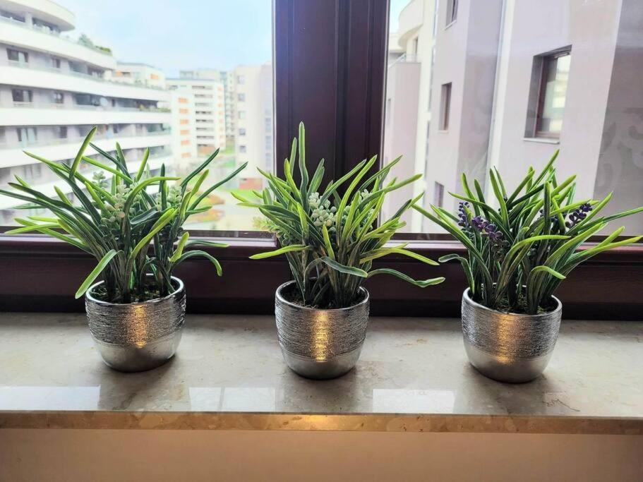 Apartment Sophie 3 Rooms, 2 Bathrooms, 8 Persons Krakow Ngoại thất bức ảnh